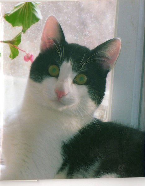 Кристина Седова