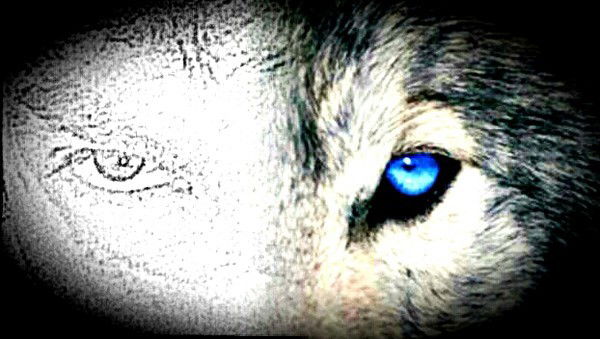 Парвиз Якубов