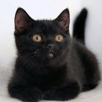 Наталья Смирнова