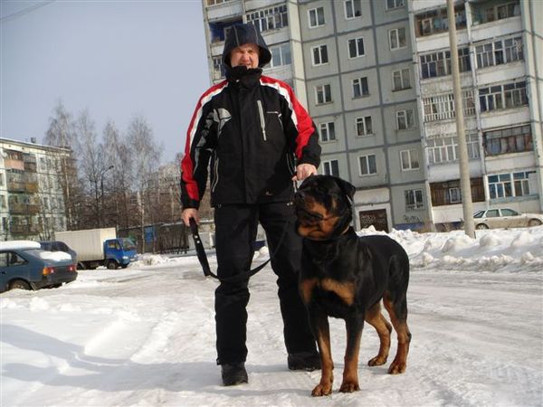 Артур Балуев