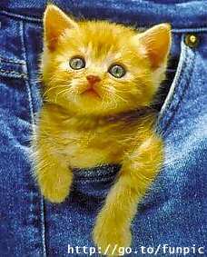 Ольга Грубова