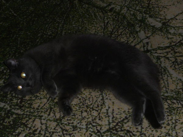 Алексей Федоров