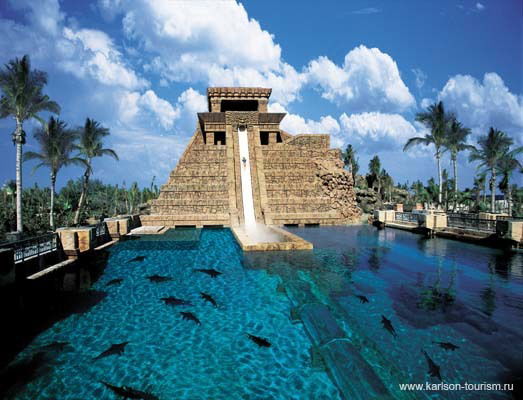 Власов Александр