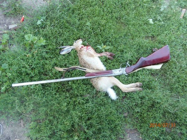 Владимир Голляк