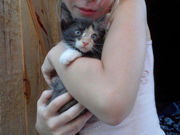 Анжелика Шафеева