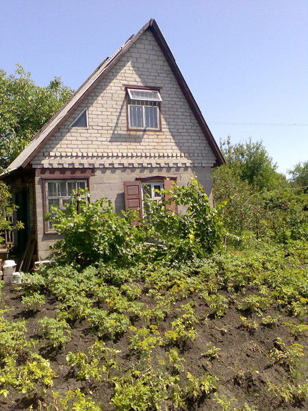 Николай Кружилин