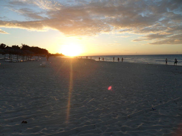 Алексей Забара