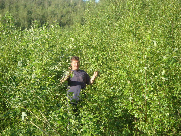 Самошкин Александр