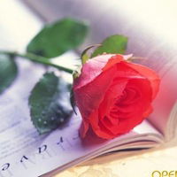 Алёна Марусова