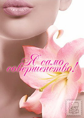 Елена Сташевская