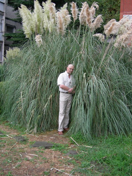 Алексей Захаров