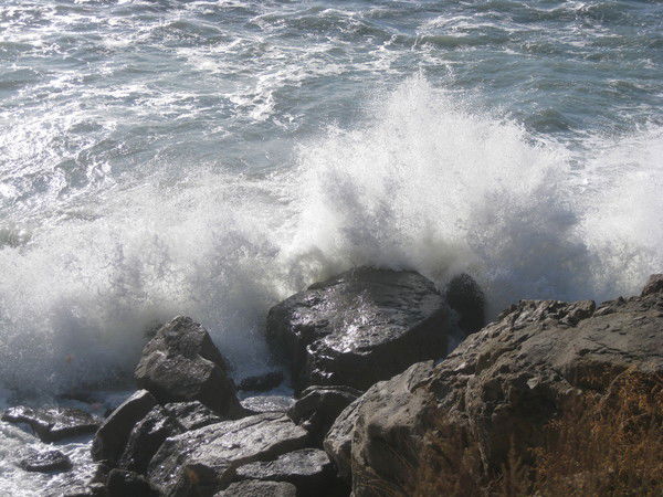 Александр Кацай