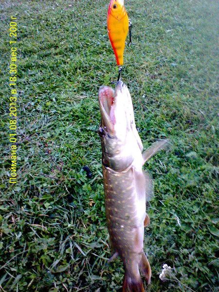 Вовочка Иванов