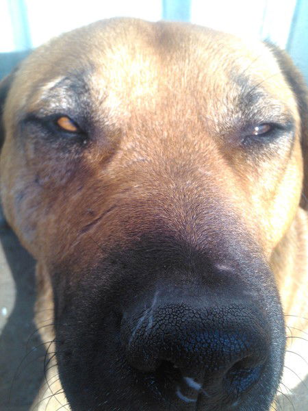 Дмитрий Мазин