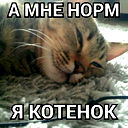 Кирилл Бабаевский