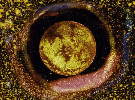 Марина Каменских