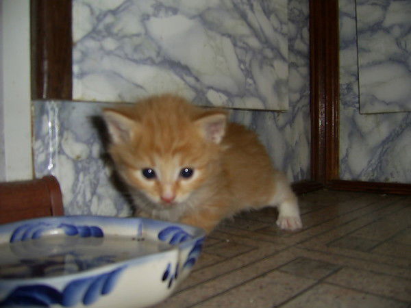 Люба Григорьева