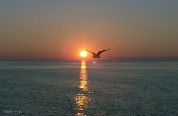 Лариса Гузей