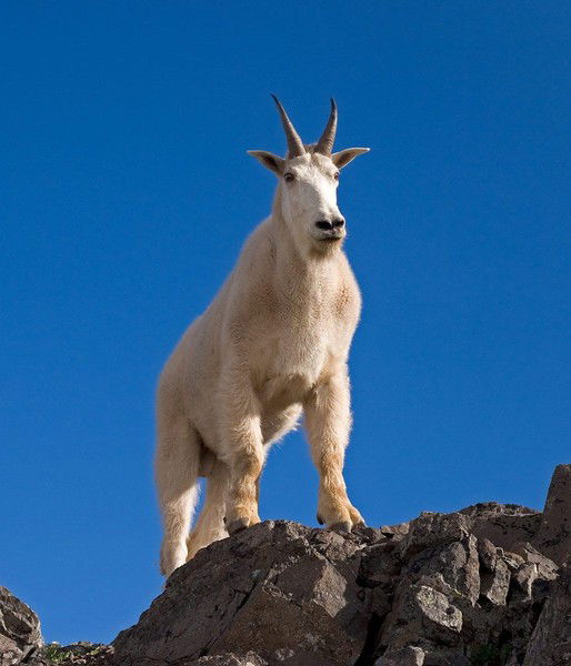 Иван Копылов