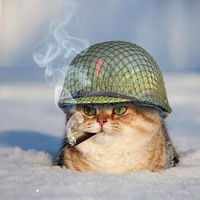 Владимир Лохматов