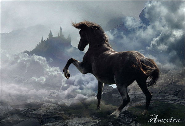 I Am The Mess |America|