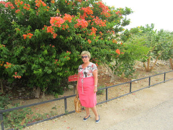 Наталья Годунова