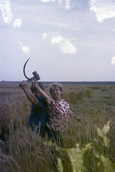 Владимир Дабижа