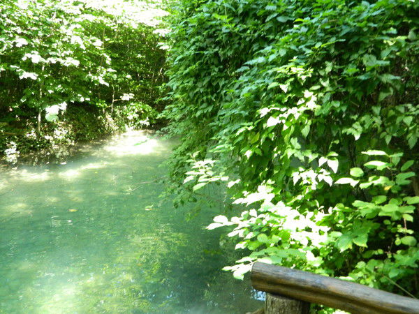 Сенаторова Елена