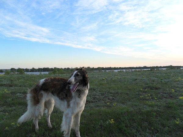 Алла Путинцева