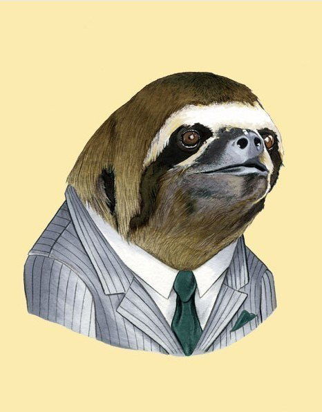 Дмитрий Боровенко