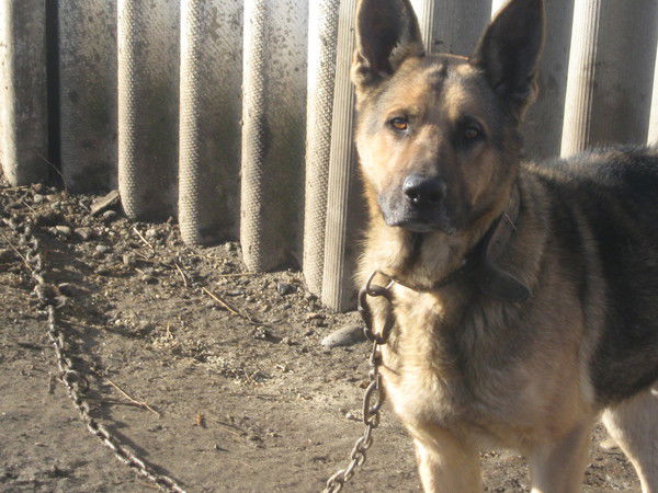 Владимир Шилов