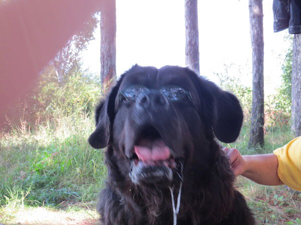 Светлана Холондач