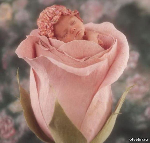 Гульназ Наршиева