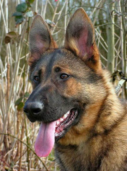 Влад Родионов