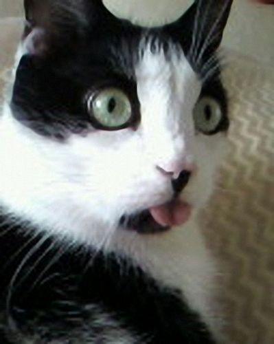 Костя Матрос