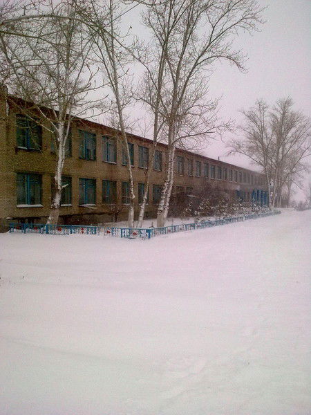 Черняховская Сшс Черняховская Сшс