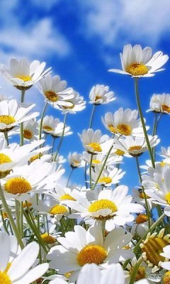 Ольга И Сергей Борисовы