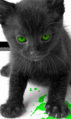 Алена Чупина