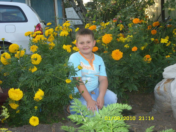 Денис Вайзенгер