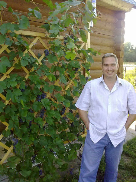 Вадим Беседин