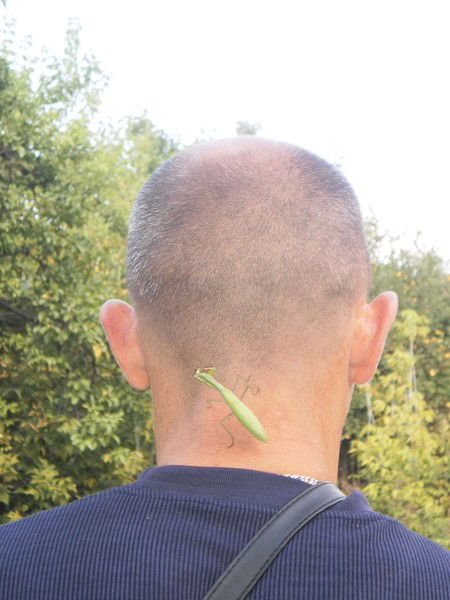 Александр Рогожинский