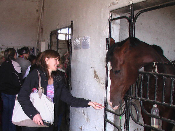 Тома Сиренко