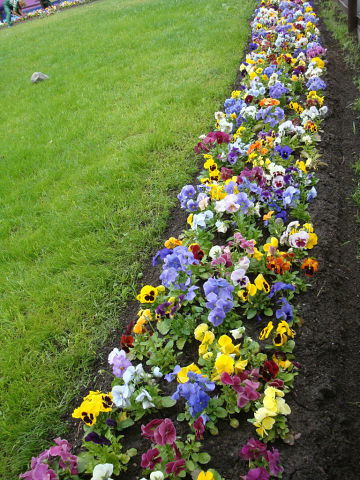 Евгений Казанцев