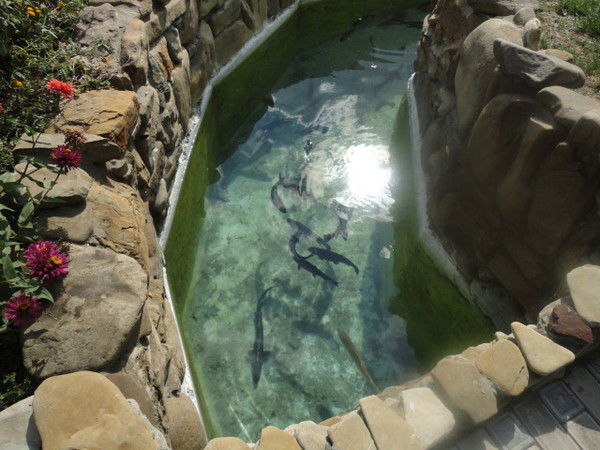 Юра Гонегер