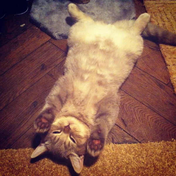 Сашуня Попова