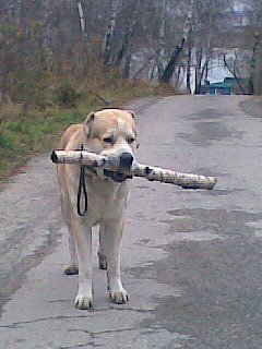 Сазонов Сергей