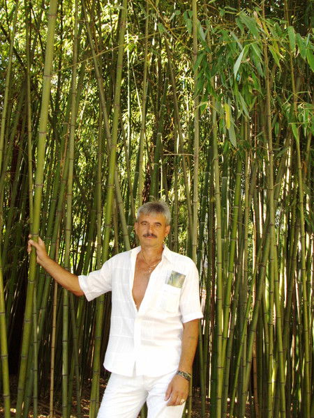 Александр Кравец