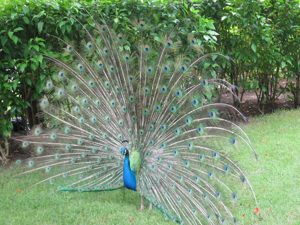 Екатерина Екатерина