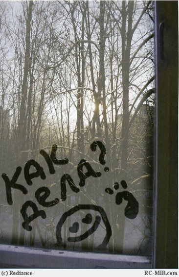 Марина Петухова