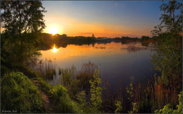 Дмитрий Герасимов